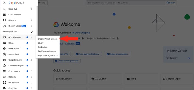 IS HS Google API - Enable APIs