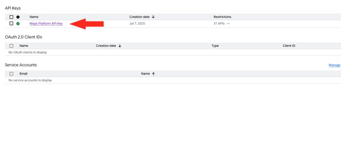 IS HS Google API - Platform API Key