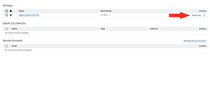 IS HS Google API - Show Key